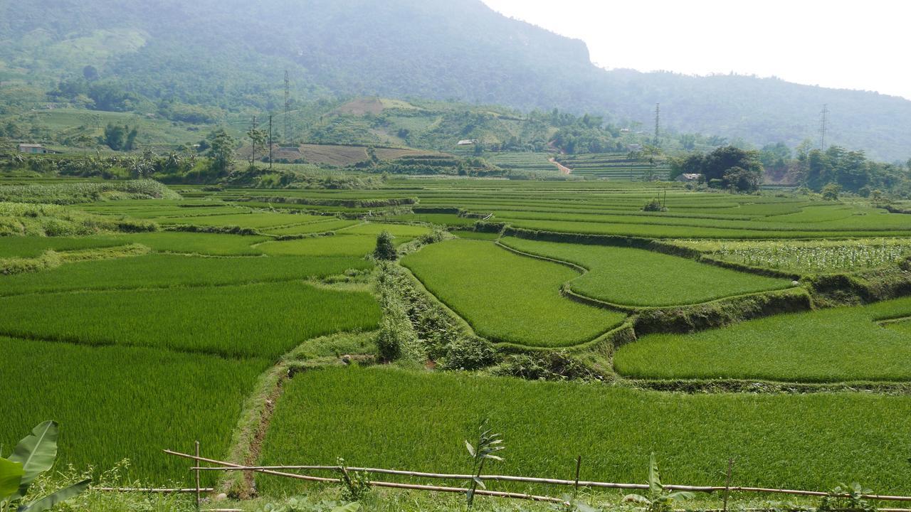 Thac Ba Family Homestay Ho To Buitenkant foto